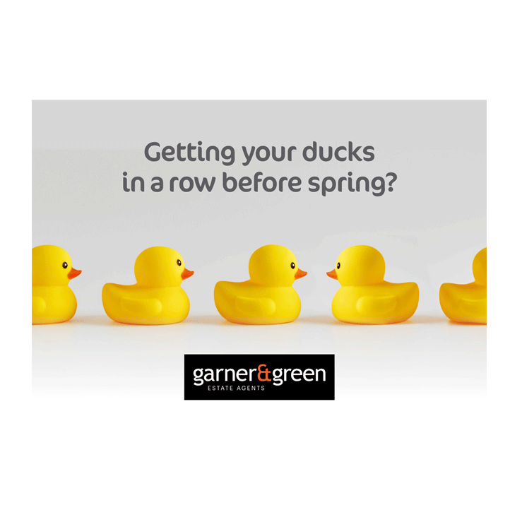 Getting your ducks in a row for spring