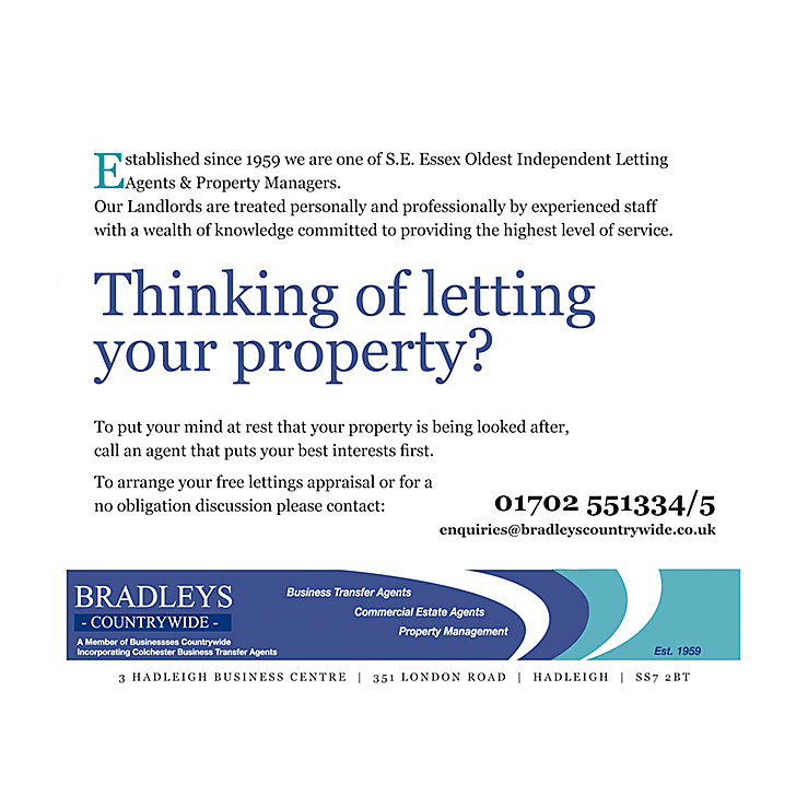 Established lettings agent flyer design