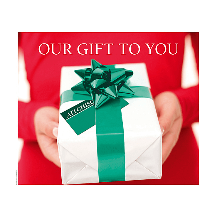 Our Christmas gift to you