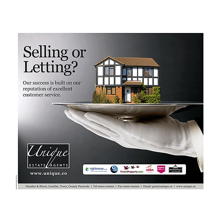 House on a silver plate Estate Agents Flyer