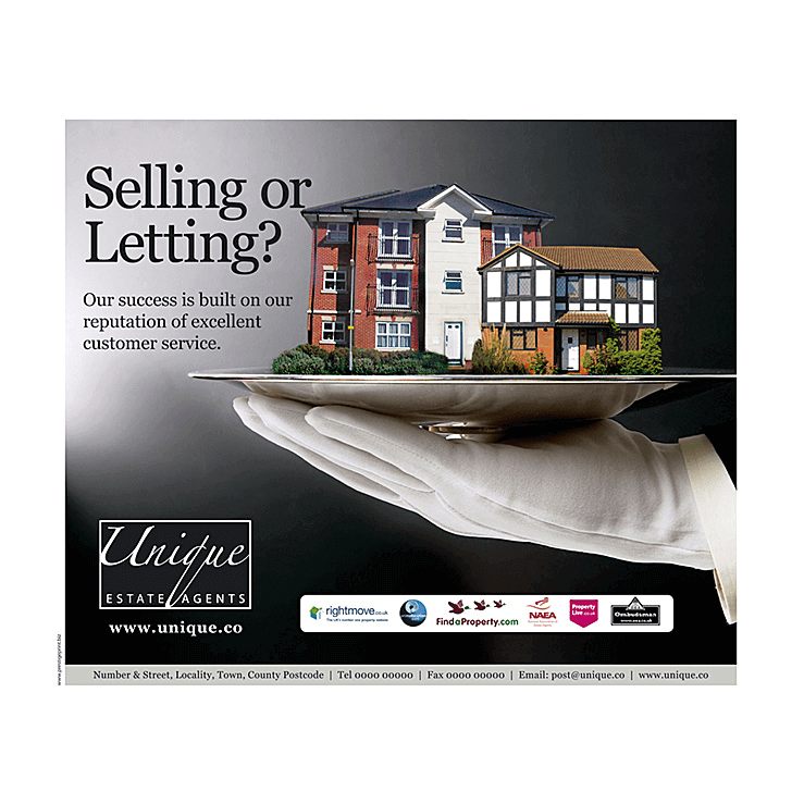 House on a silver plate Estate Agents Flyer