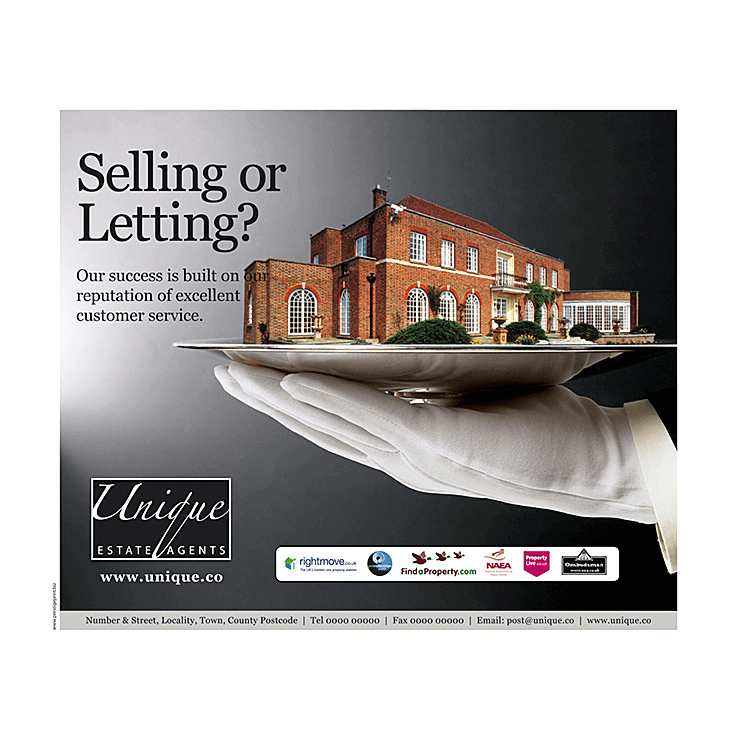 House on a silver plate Estate Agents Flyer