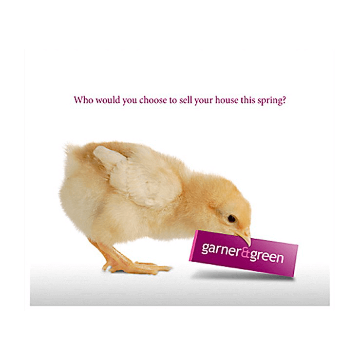 Who would you choose to sell your house this spring?