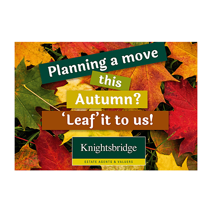 Estate agents autumn leaflets