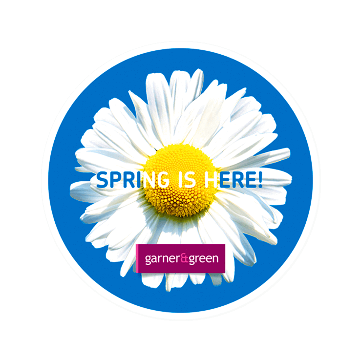 Daisy in a circle shaped leaflet