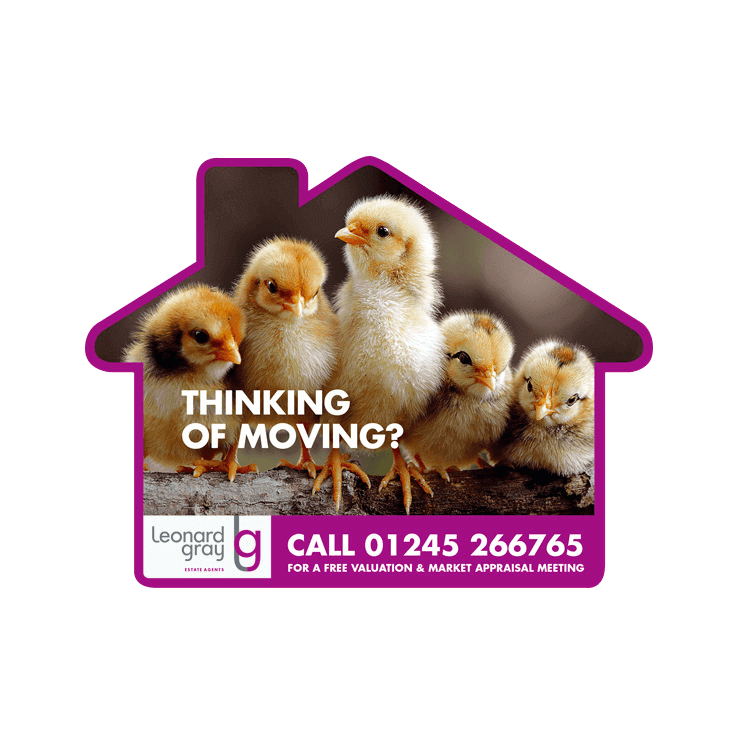 Chick, thinking of moving