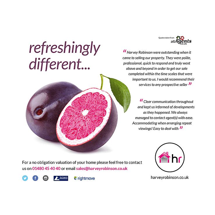 Refreshingly different estate agents flyer