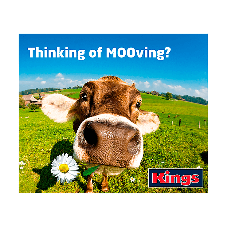 Thinking of MOOving leaflet design