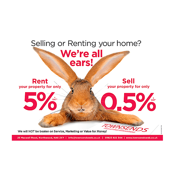 Estate agents easter bunny leaflet promotion