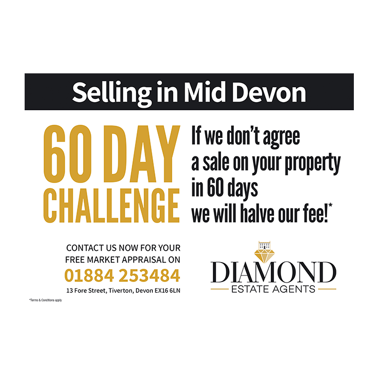 Estate Agents 60 day challenge 