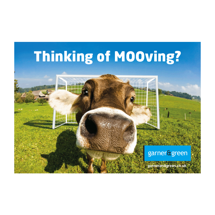 Thinking of Mooving