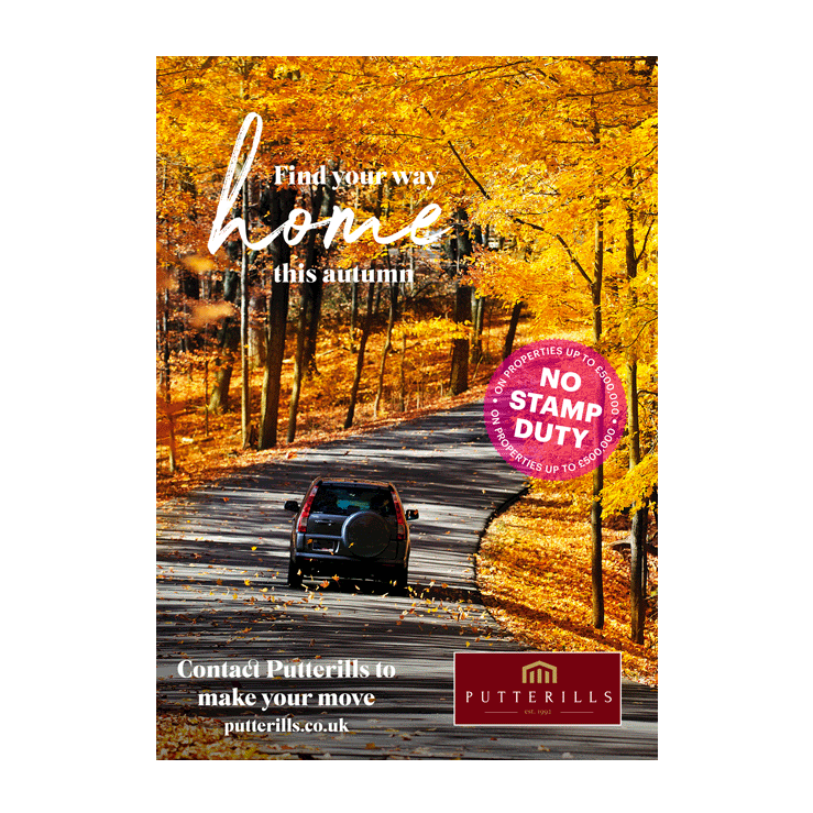 Driving Home this Autumn