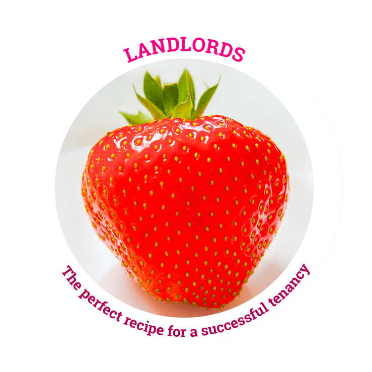 Strawberry Leaflet Design