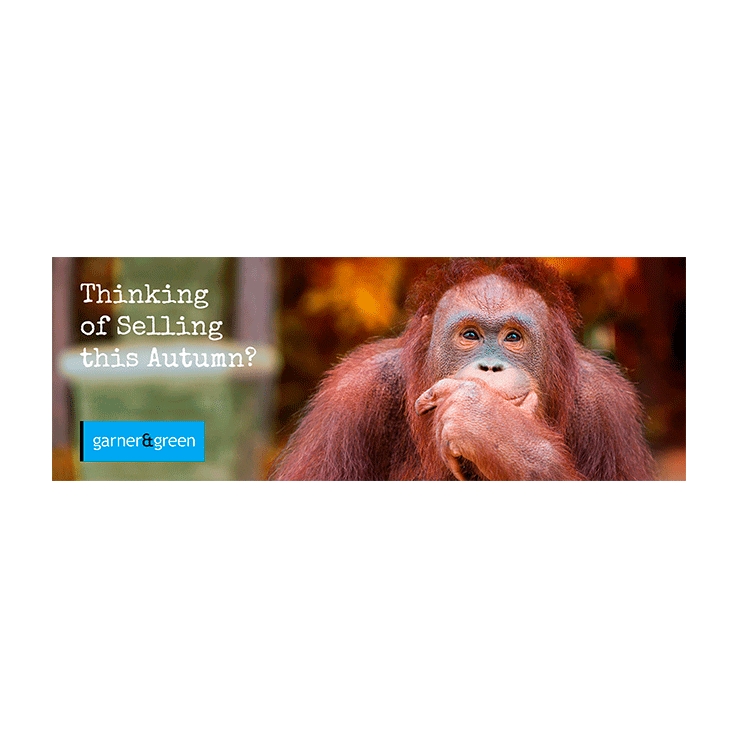 Thinking of selling this Autumn?