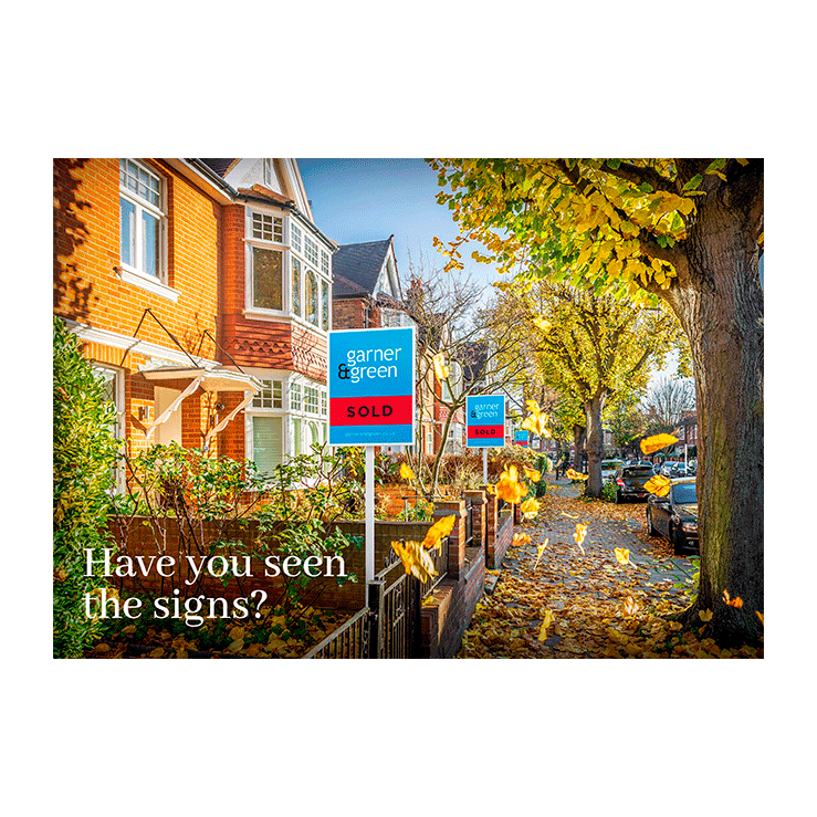 Bright autumn street scene with multiple sold boards creating an eye-catching repetition.