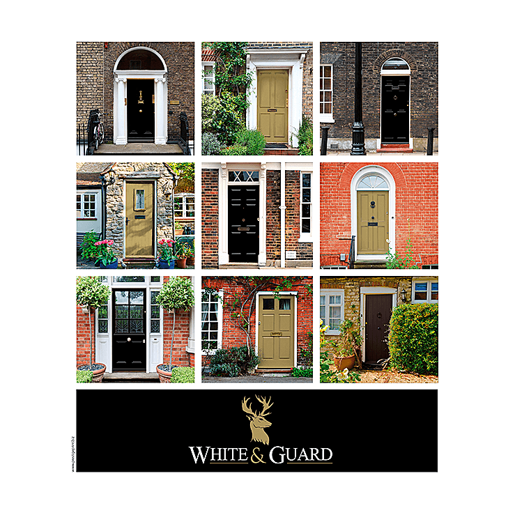 Gold and black front doors