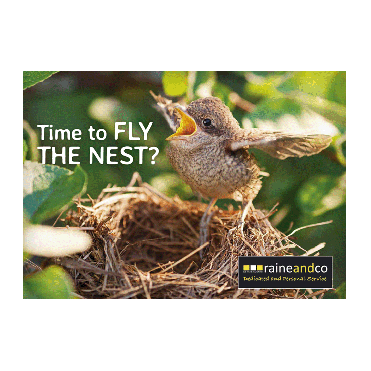 Time to FLY THE NEST?
