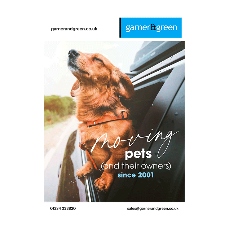 Moving pets dog flyer