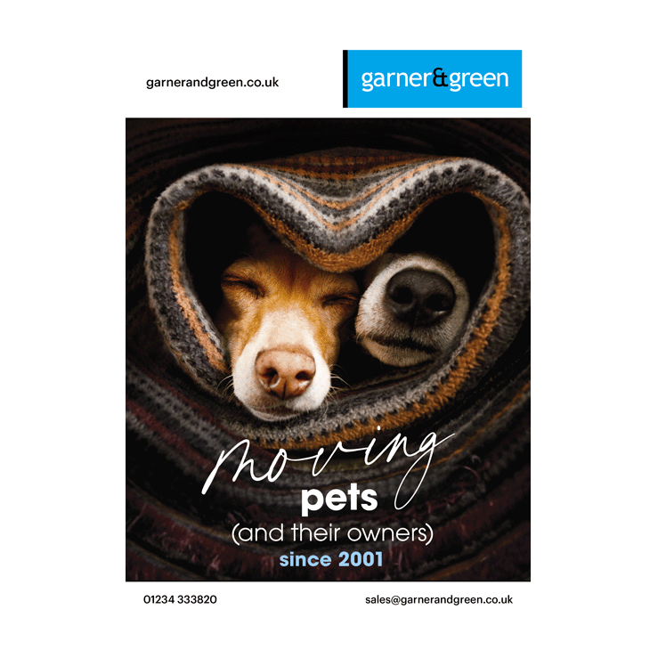 Moving Pets and their owners 