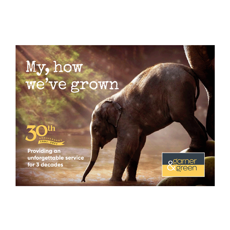 My, How we have grown