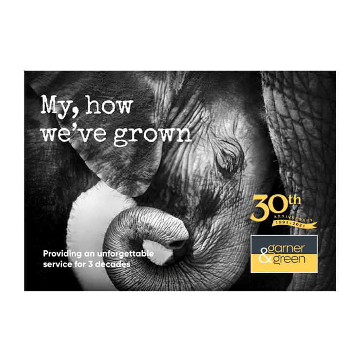 My, How we have grown