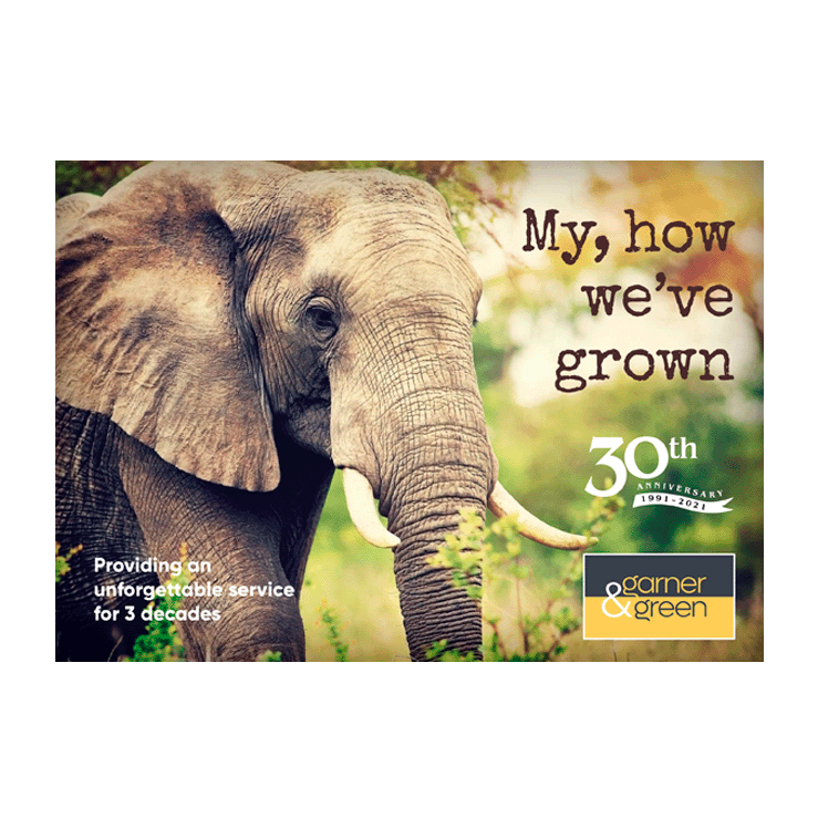 My, How we have grown