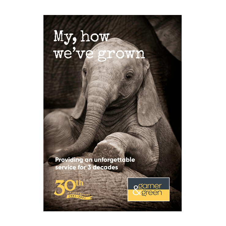 My, How we have grown