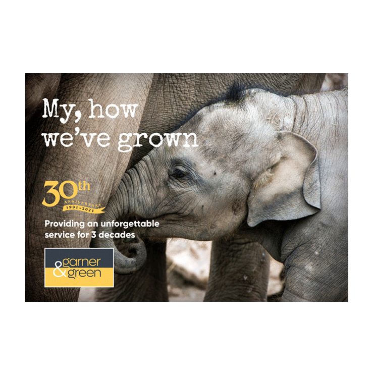 My, how we have grown