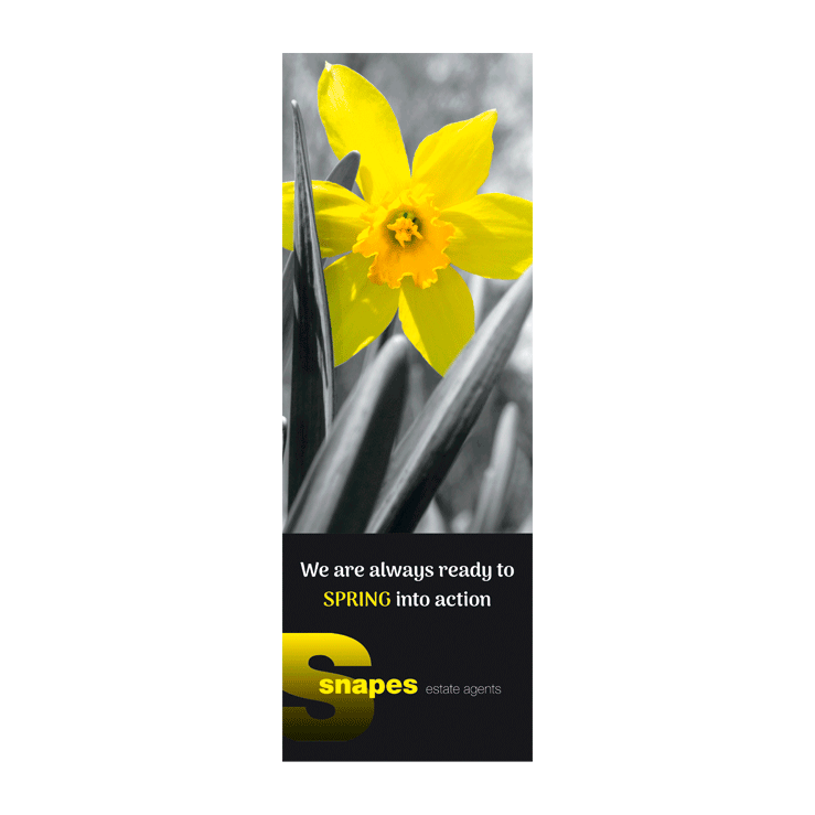 Spring Daffodil